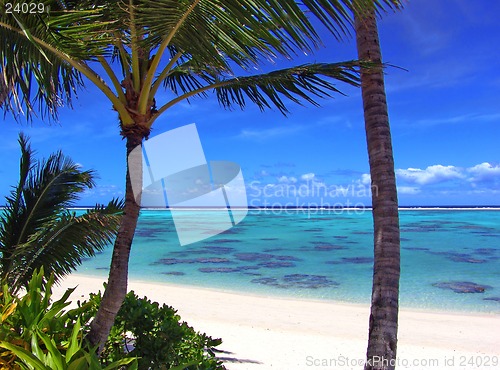 Image of Rarotonga Lagoon