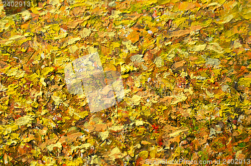 Image of acrylic art draw paint rough surface background 
