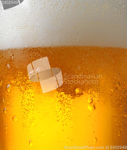 Image of beer macro