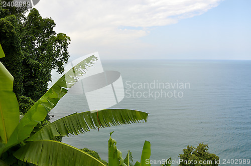 Image of Sea views