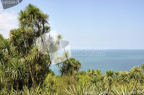 Image of Sea views