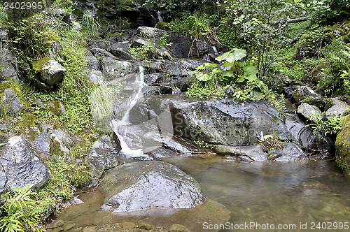 Image of mountain river