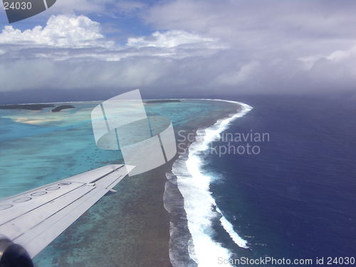 Image of Tropical Flight