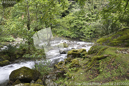 Image of mountain river, landscapes