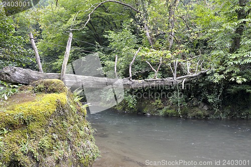 Image of rope bridge over the river