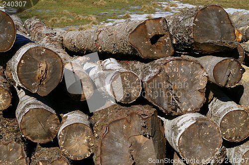 Image of Lumber