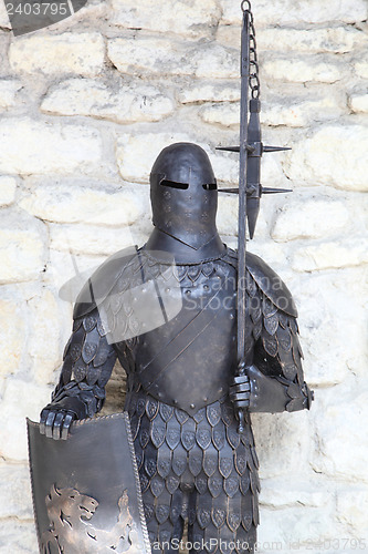 Image of armor 