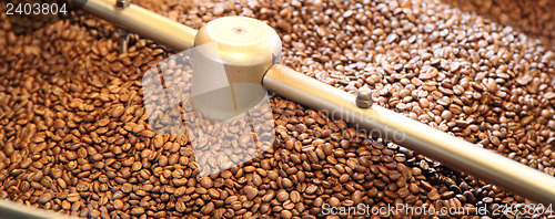 Image of grains of coffee