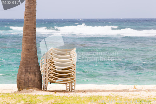 Image of Stack of beach chairs under palm tree