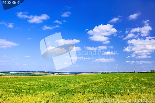 Image of Late summer rural landscape