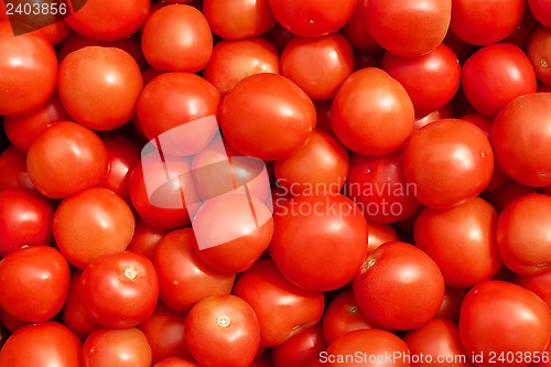 Image of Many ripe red tomatoes