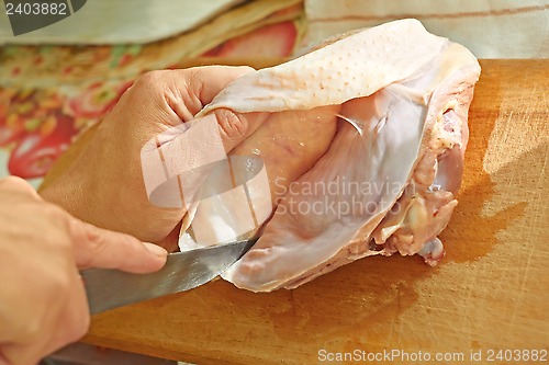 Image of Bird meat cutting with a knife