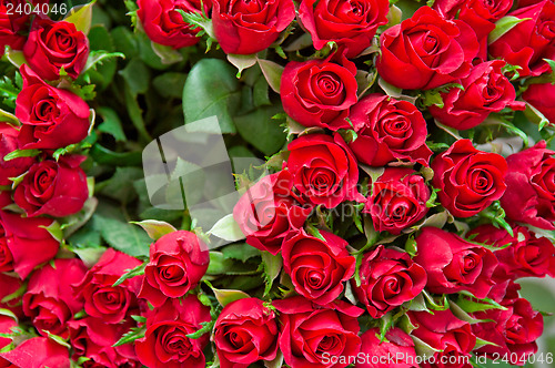 Image of bouquet of roses