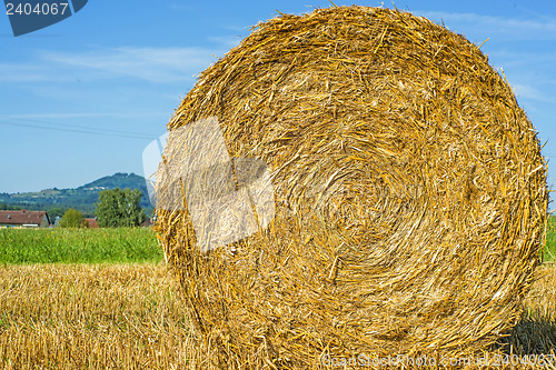 Image of straw bale