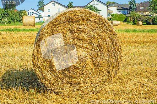 Image of straw bale