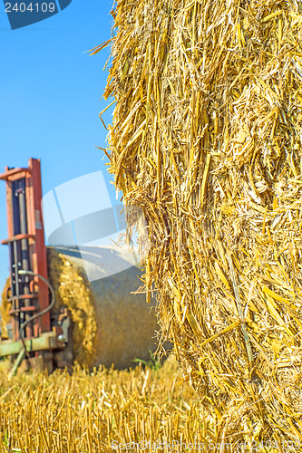 Image of straw bale