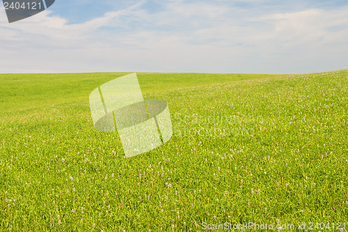 Image of green with blue sky and clouds