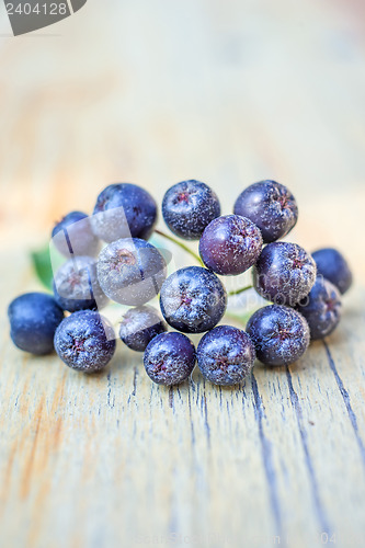 Image of Black choke berry