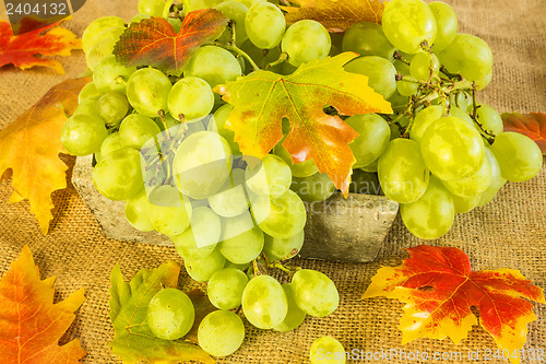 Image of grapes