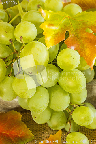 Image of grapes