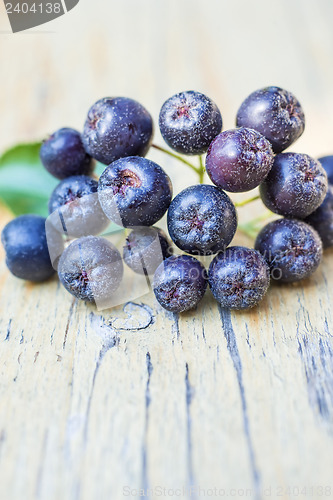 Image of Black choke berry