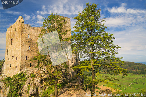 Image of Castle of Lichtenstein