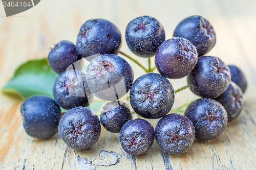 Image of Black choke berry