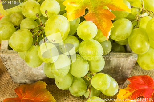 Image of grapes