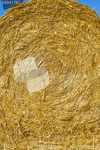 Image of straw bale