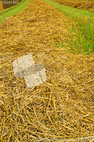 Image of hay harvest