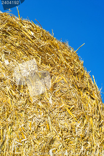 Image of straw bale