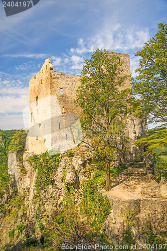 Image of Castle of Lichtenstein