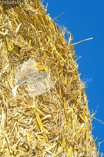 Image of straw bale