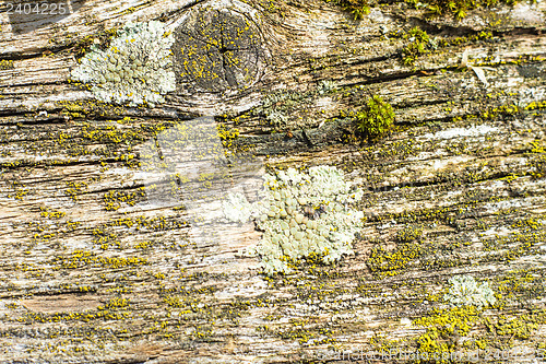 Image of old plank