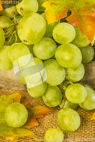 Image of grapes