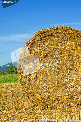 Image of straw bale