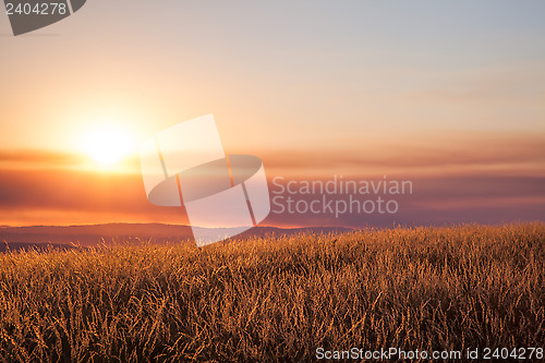 Image of Beautiful sunset over mountain field.