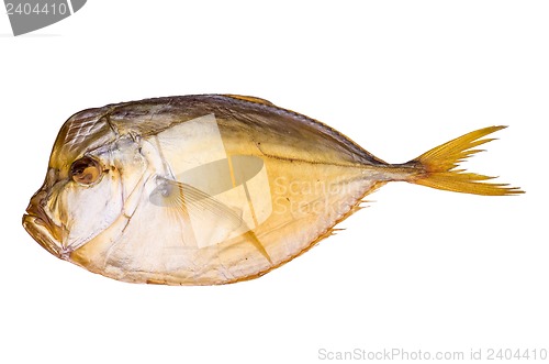 Image of Smoked atlantic moonfish