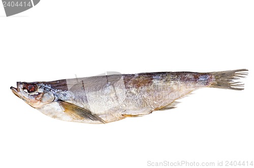 Image of Salted and dried sabrefish