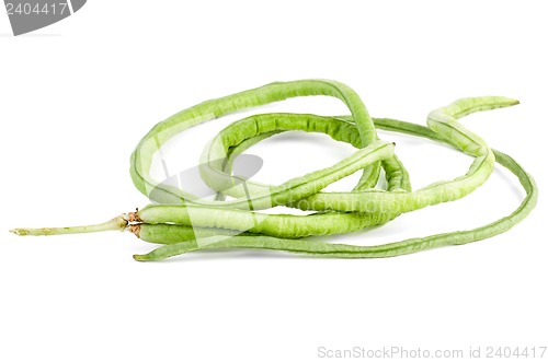 Image of Few pods of fresh long beans (Vigna unguiculata)