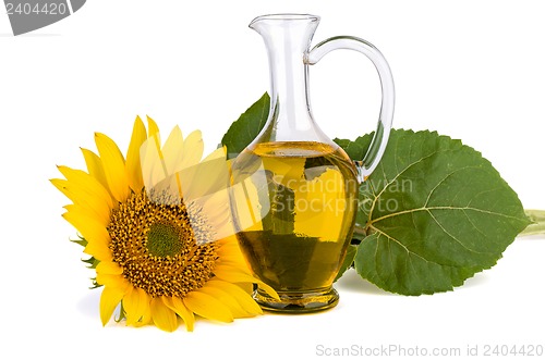 Image of Sunflower and oil in glass decanter