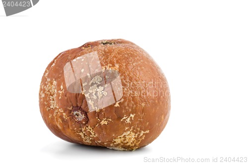 Image of Rotten apple