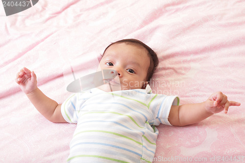 Image of Newborn baby portrait 