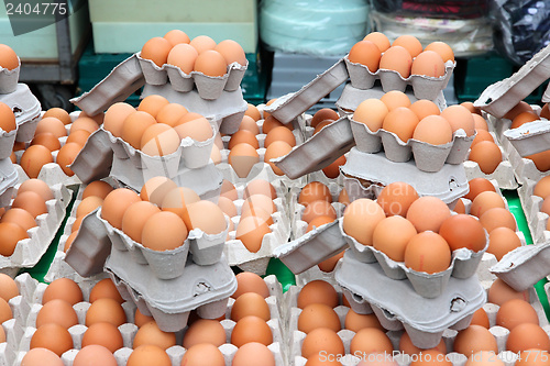 Image of Chicken eggs