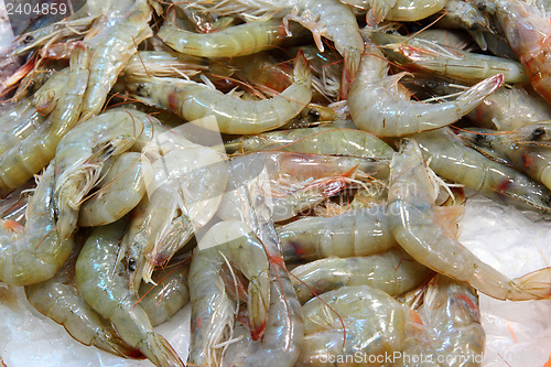 Image of Langostino