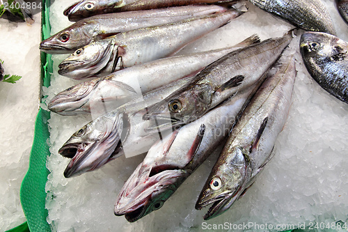 Image of Fish market in Spain