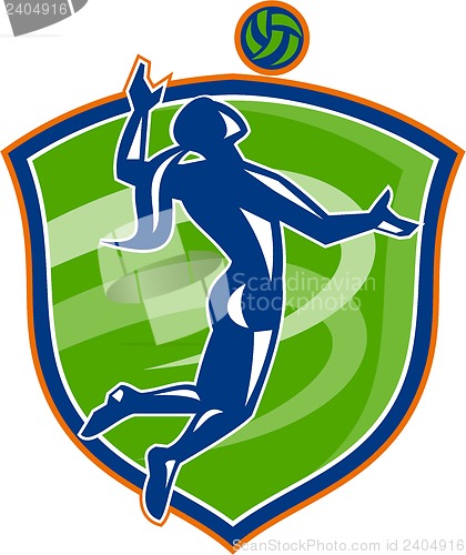 Image of Volleyball Player Spiking Ball Side Shield