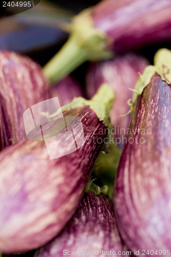 Image of fresh violet eggplant in summer outdoor on market 