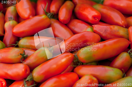 Image of fresh red tomatoes on market