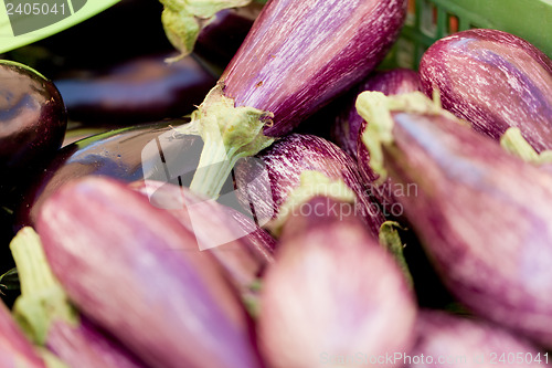 Image of fresh violet eggplant in summer outdoor on market 